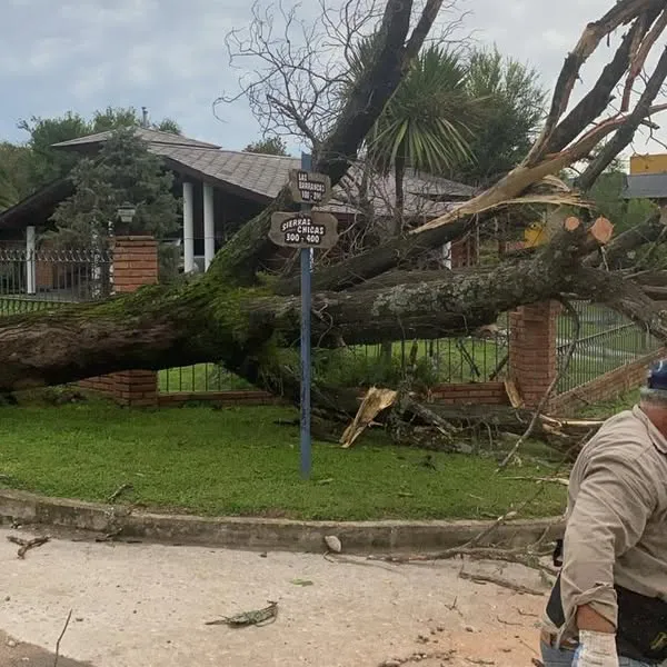 termporasl santa rosa 6