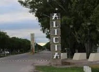 alicia portada