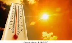 WhatsApp Image 2025-12-30 at 08.46.48calor555