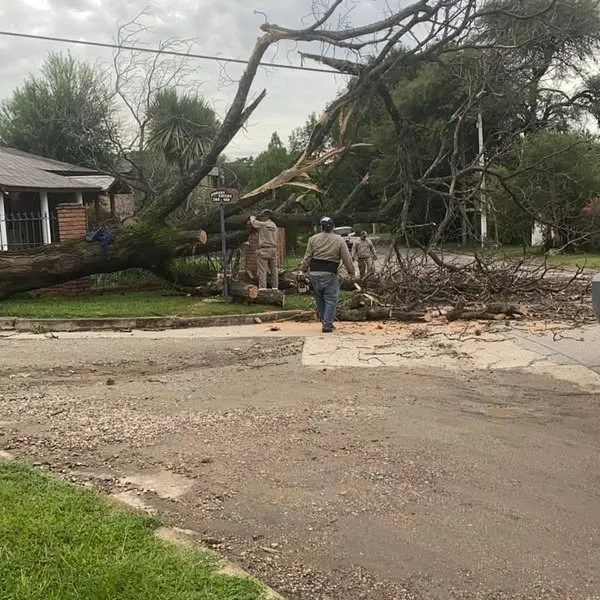 temporal santa rosa 5