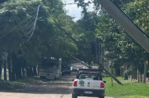 asistencia provinciasz5