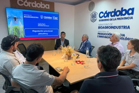 WhatsApp Image 2026-03-13 at 08.36.24cordoba555