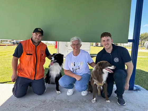 bobmeros momte maiz perros