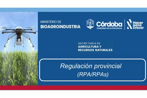 WhatsApp Image 2026-03-13 at 08.36.24cordoba9595