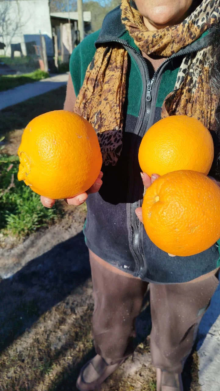 57f1bef5-1030-4cb3-b94f-9e97a34bebf8naranja555