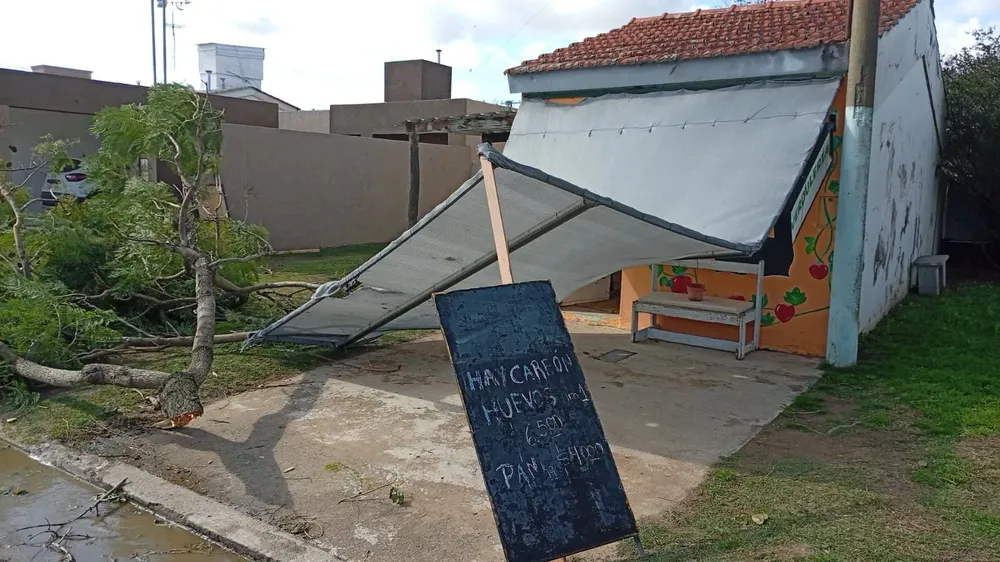 428674de-07e5-41fe-bd63-94b925d52600viento4