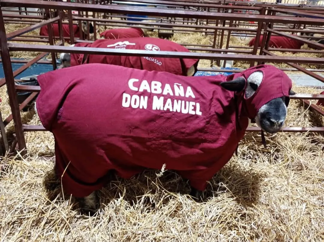 cabañas don manuel