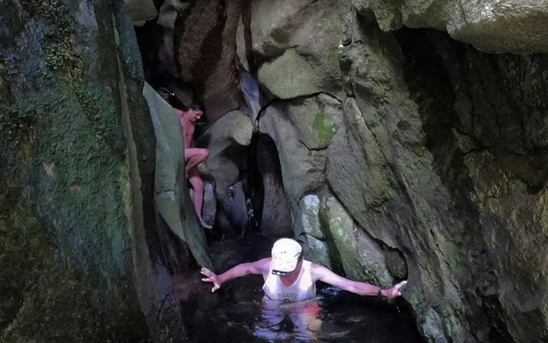 WhatsApp Image 2026-02-16 at 10.53.48genta3