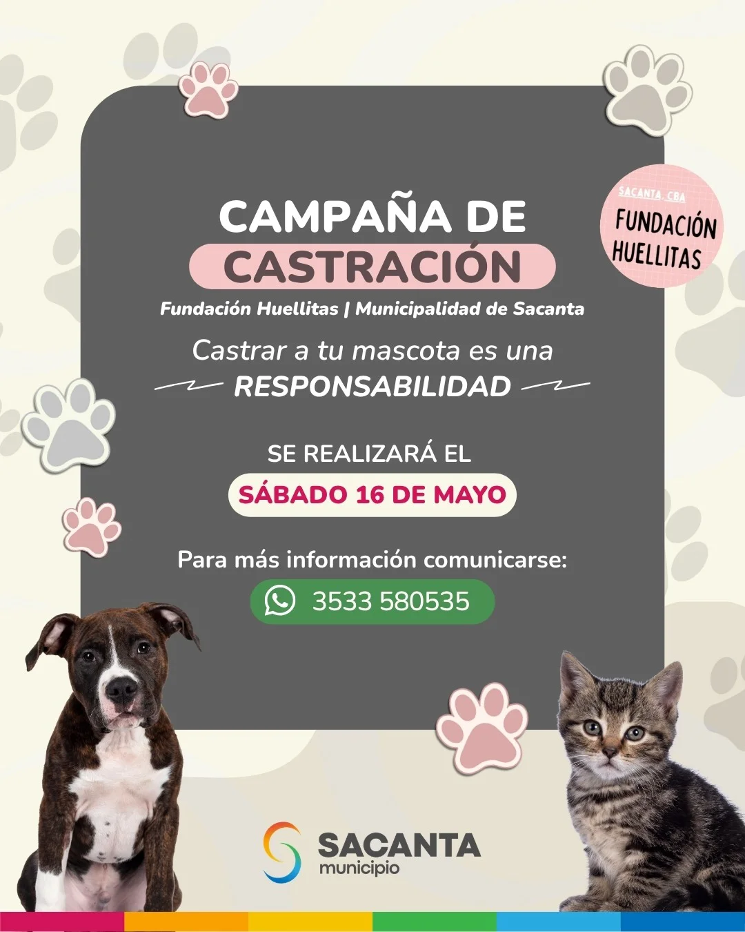 WhatsApp Image 2026-05-14 at 08.59.59castracion1