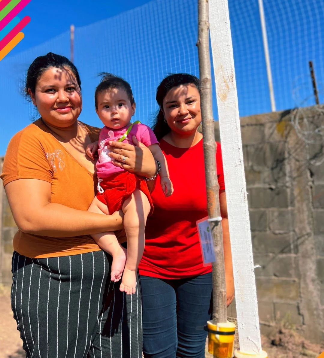 WhatsApp Image 2026-04-01 at 20.50.39arboles7