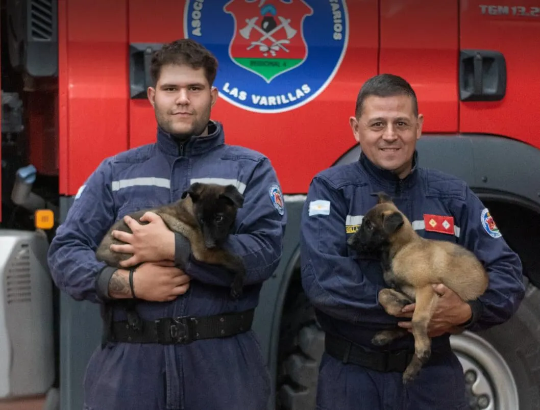 WhatsApp Image 2026-01-29 at 20.48.10K91