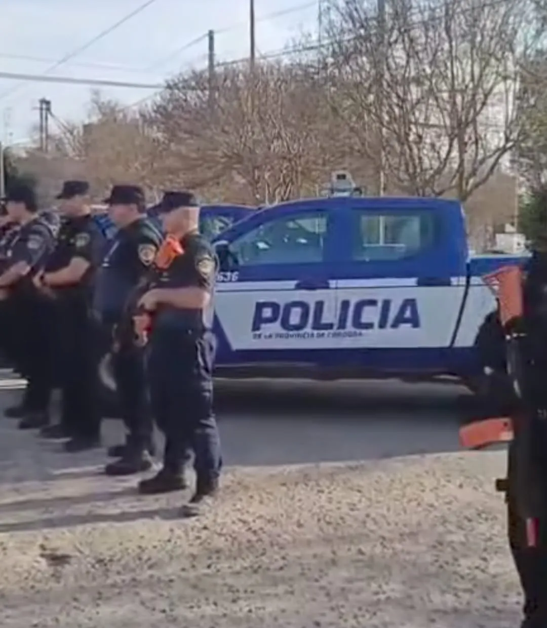 imterfiuerzas berro2