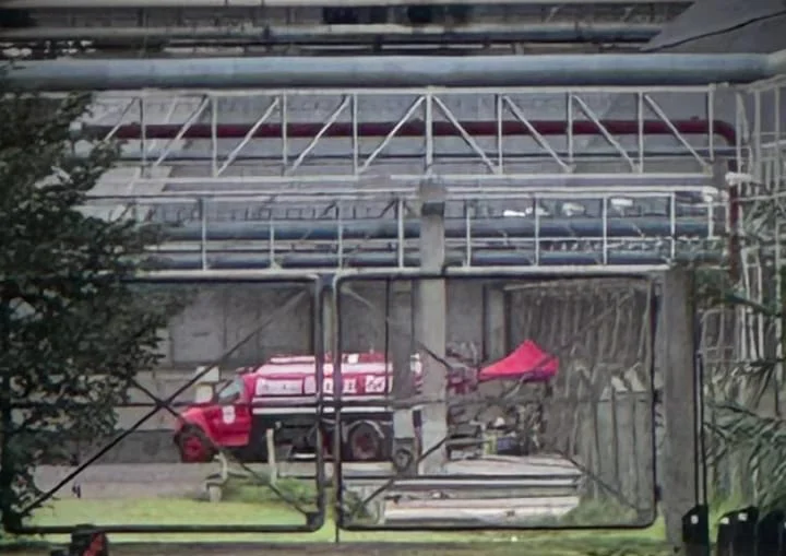 WhatsApp Image 2026-03-23 at 21.03.29gebrL DEHZA22