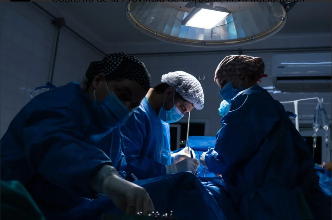 WhatsApp Image 2026-04-02 at 21.50.46organo2