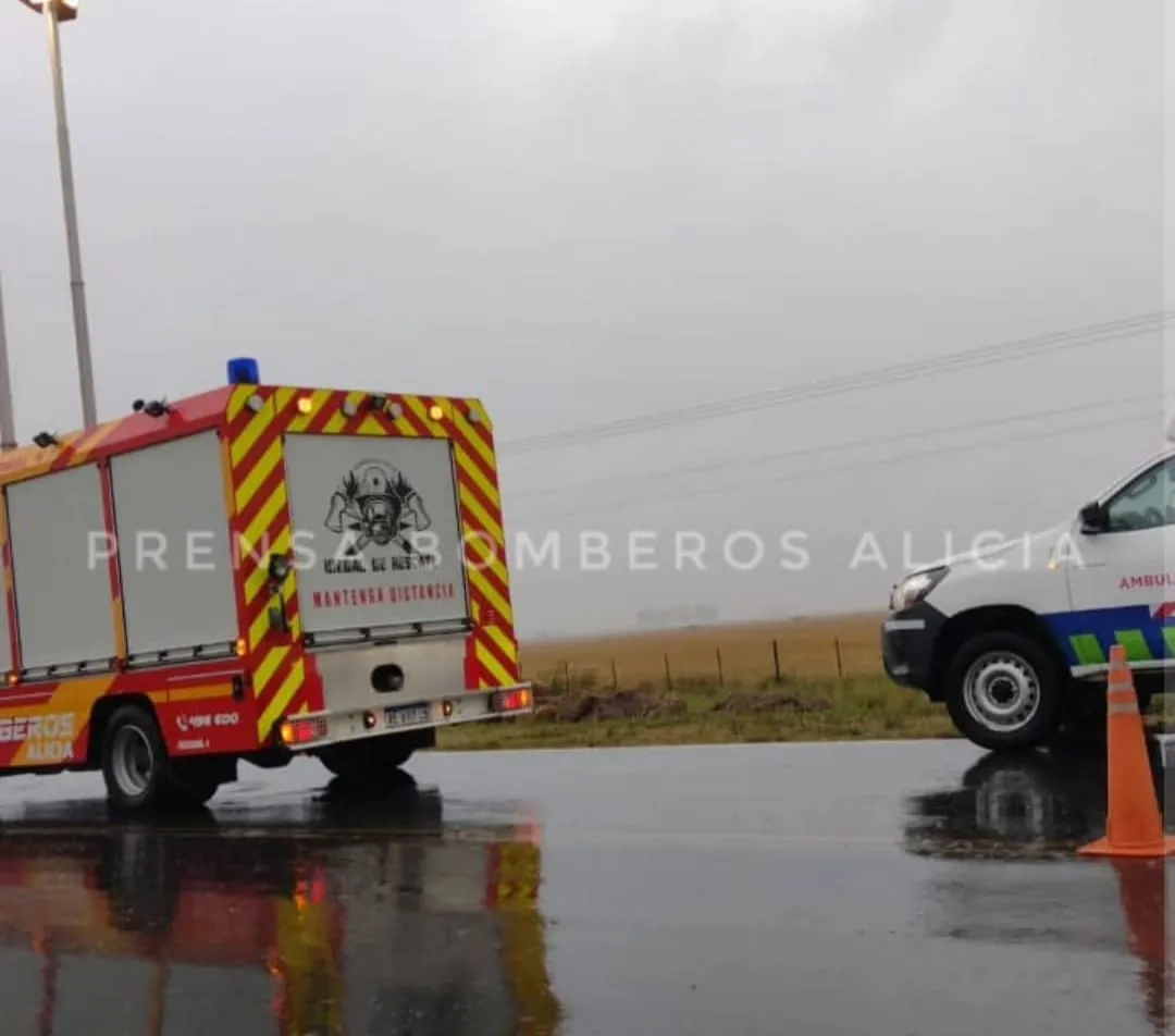 WhatsApp Image 2025-12-21 at 10.34.37boimeros alicia despistre44