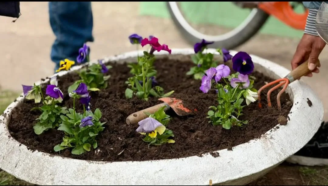 laspiur pimavera19923