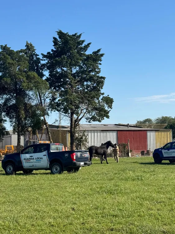 opetrtsivo casballos