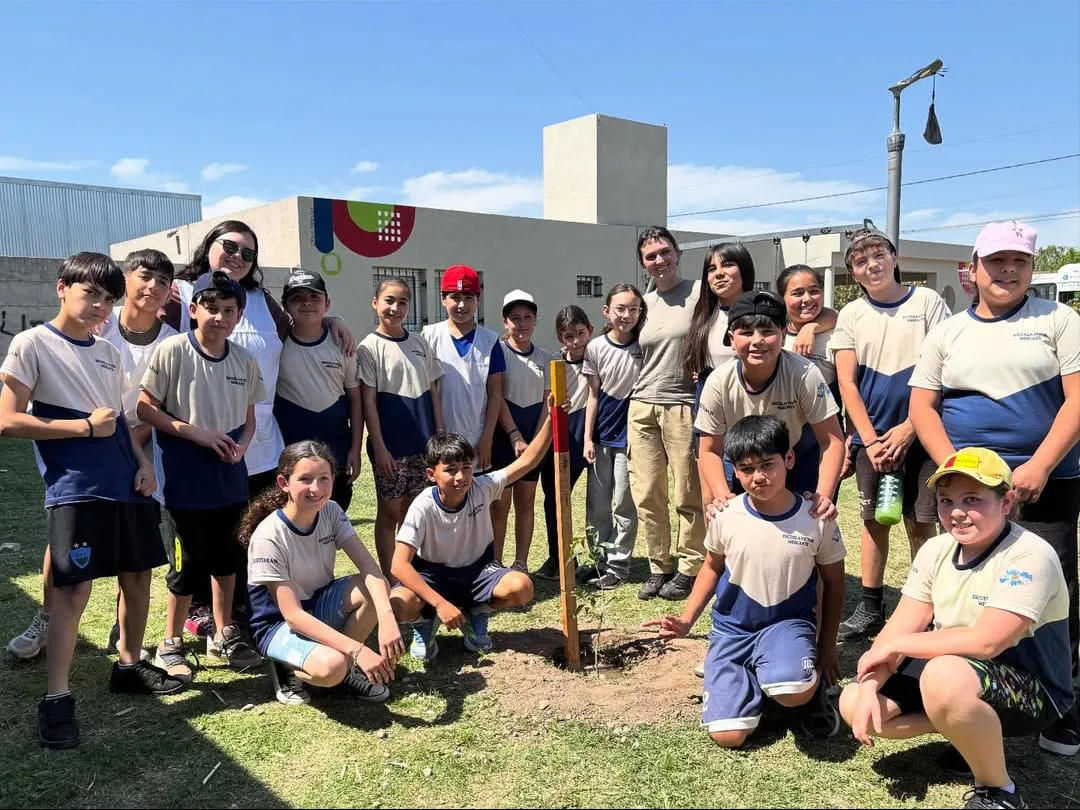 arbolesd berrotatran5