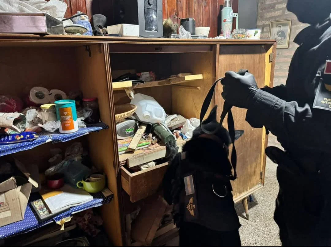 WhatsApp Image 2026-04-02 at 21.46.10fpa1