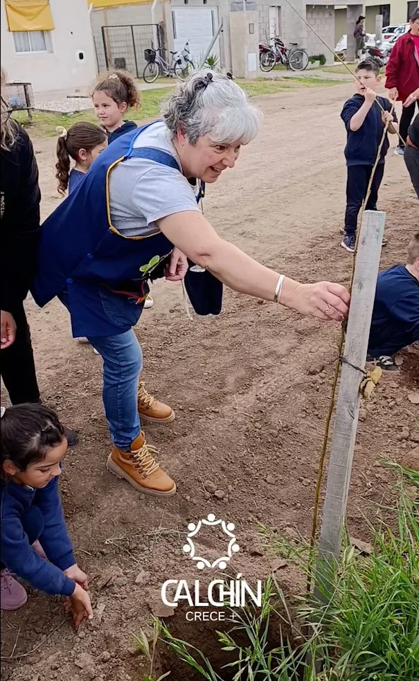 ploantacion de arboles1