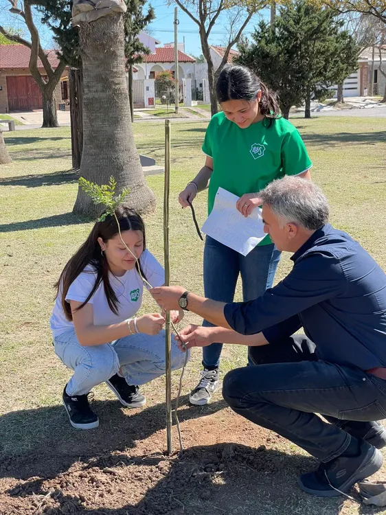 las vatrillas m27944