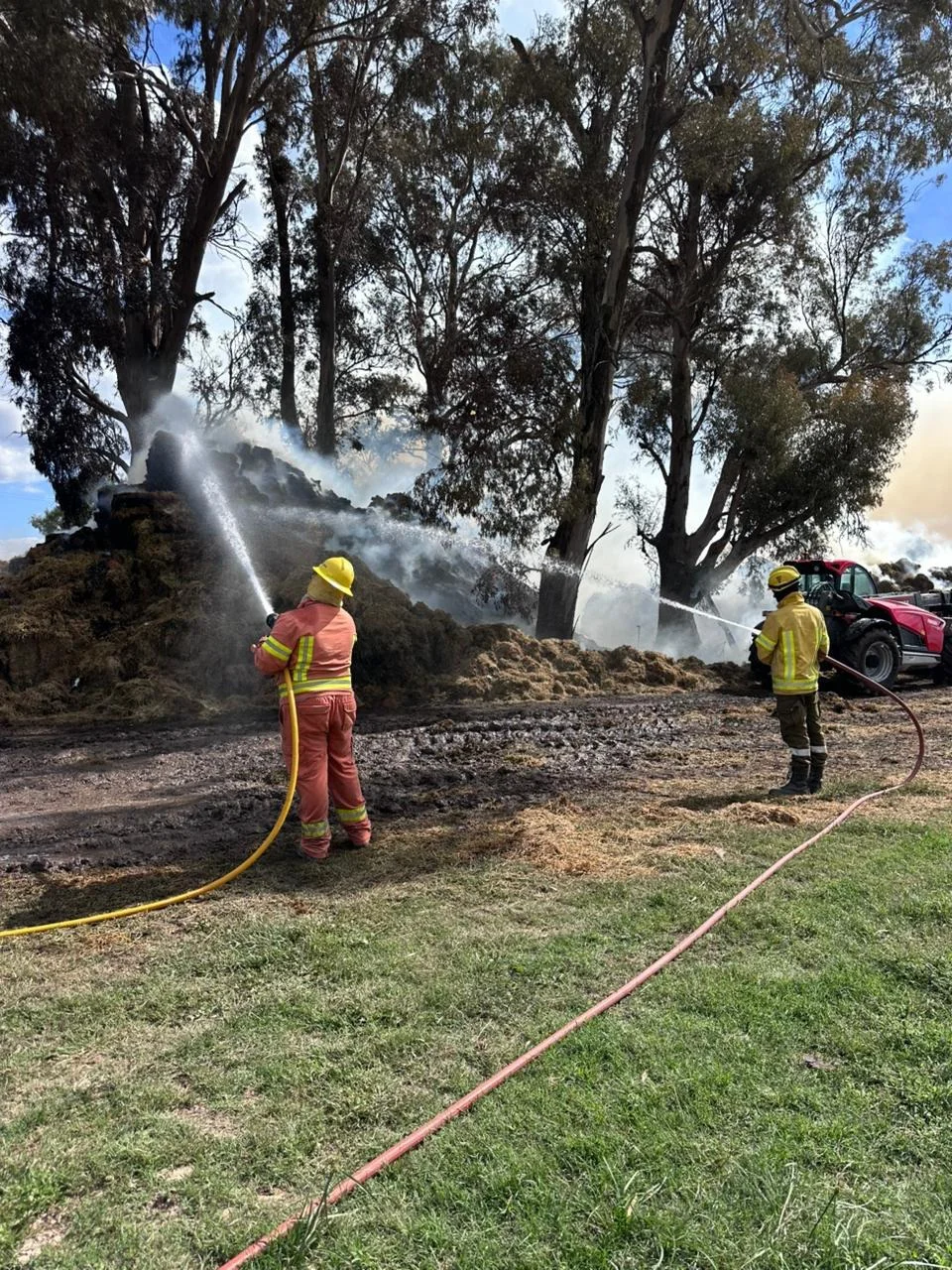 WhatsApp Image 2026-03-12 at 09.10.52incnedio1