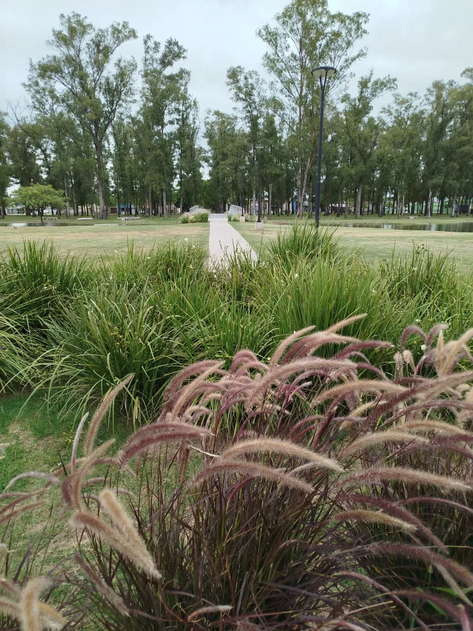 WhatsApp Image 2026-01-15 at 08.59.17parque4