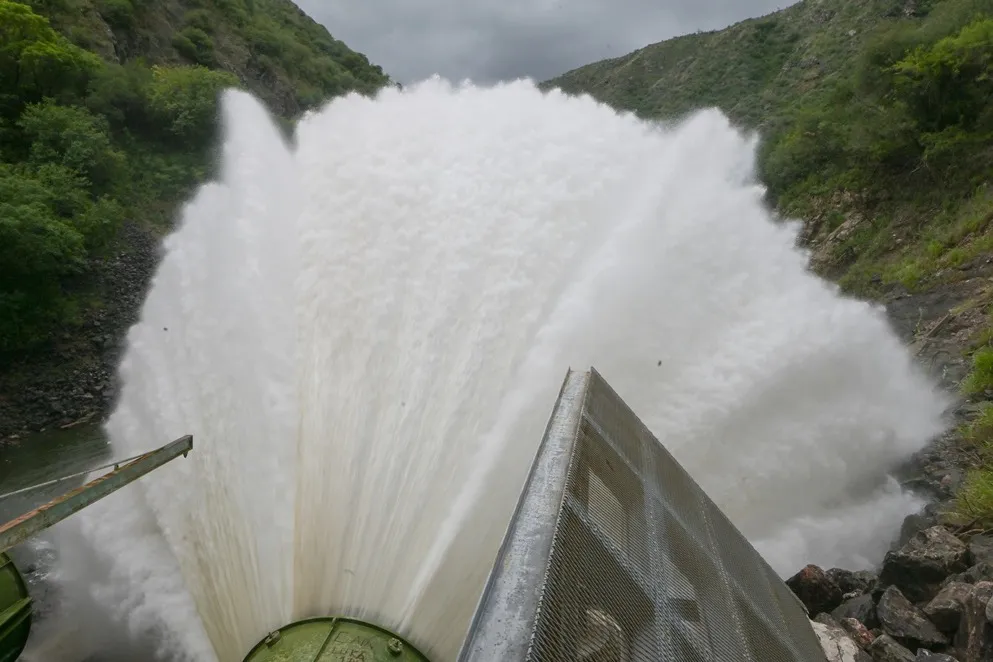 WhatsApp Image 2026-01-10 at 10.46.34cola novia22