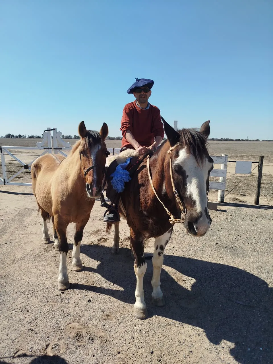 cabalgata san martin8