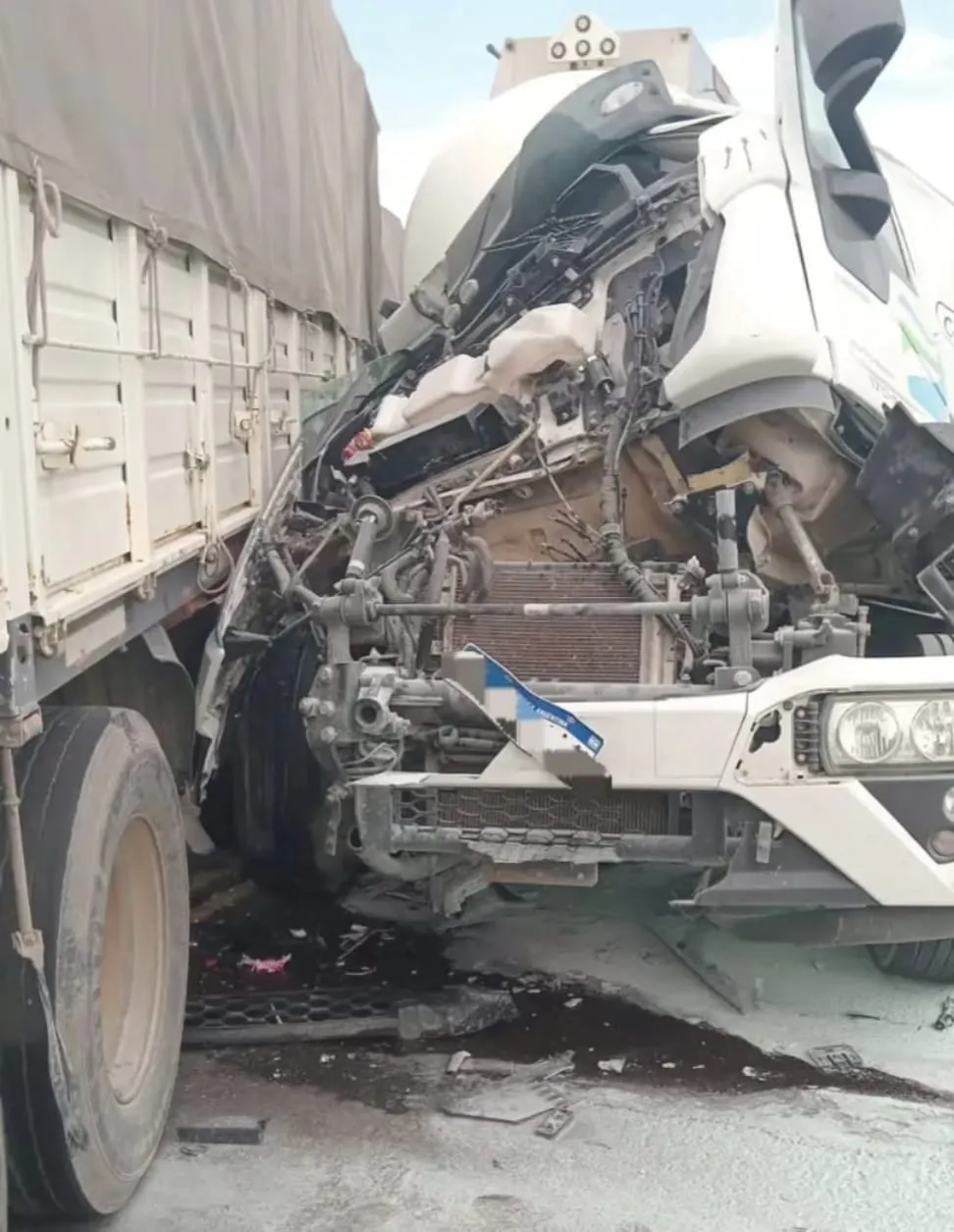 vilkla maria choique2