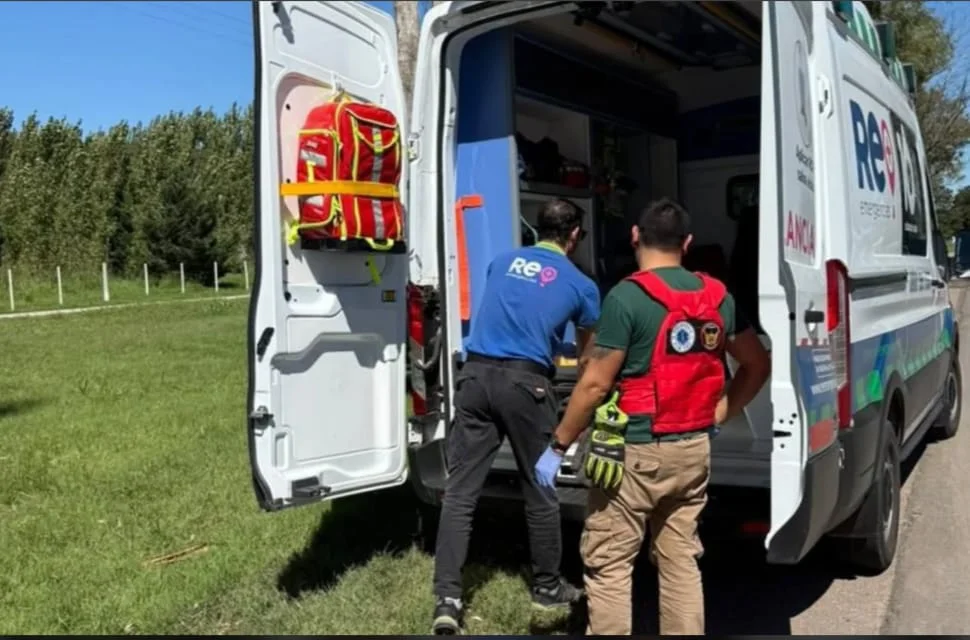 WhatsApp Image 2026-03-25 at 20.47.50noto66