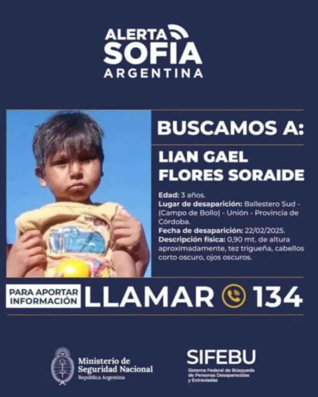 loiam busqueda flayer