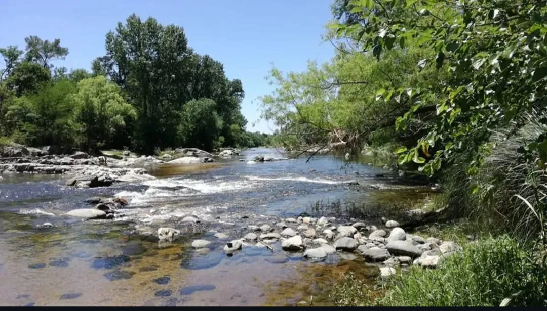 WhatsApp Image 2026-01-23 at 00.07.06anisacate44