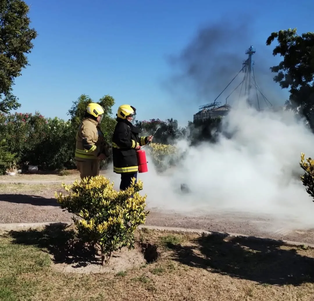 WhatsApp Image 2026-01-26 at 00.19.44cap4