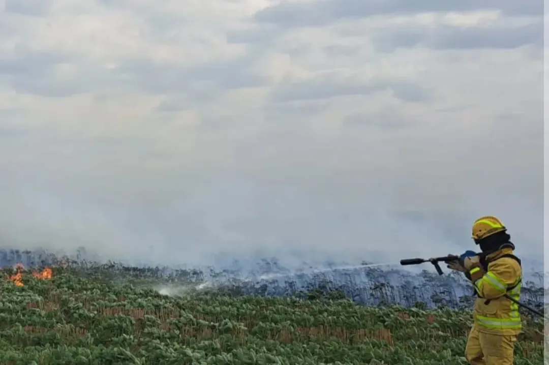 WhatsApp Image 2026-02-05 at 21.48.08bbomeros060606