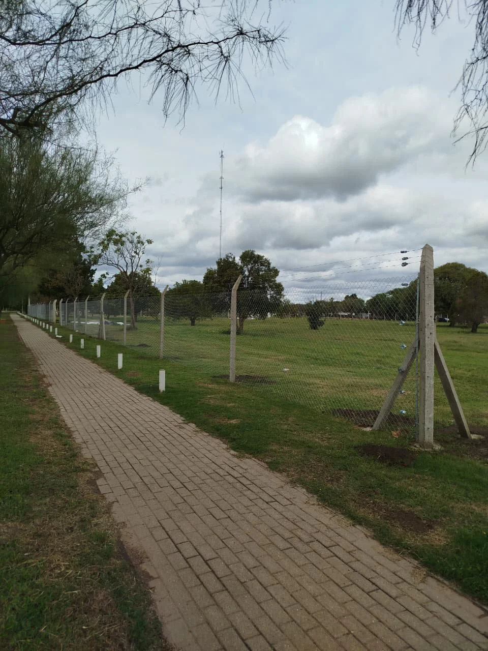 WhatsApp Image 2026-03-07 at 22.13.30club3