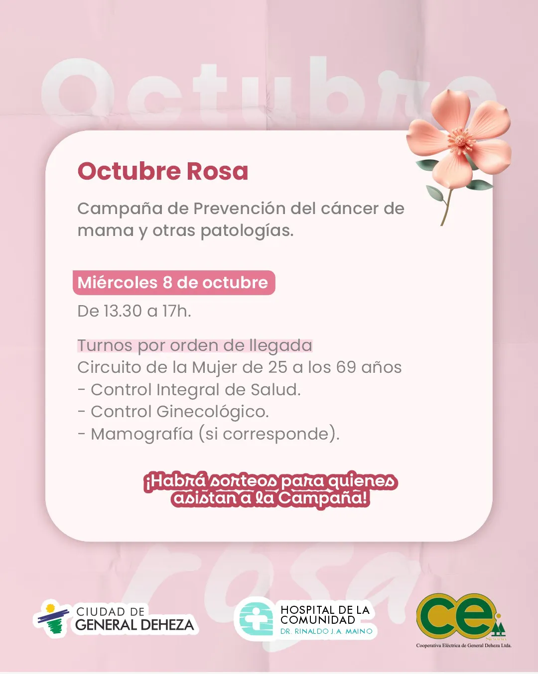 OCTUBRE ROSA DEHEZA79797