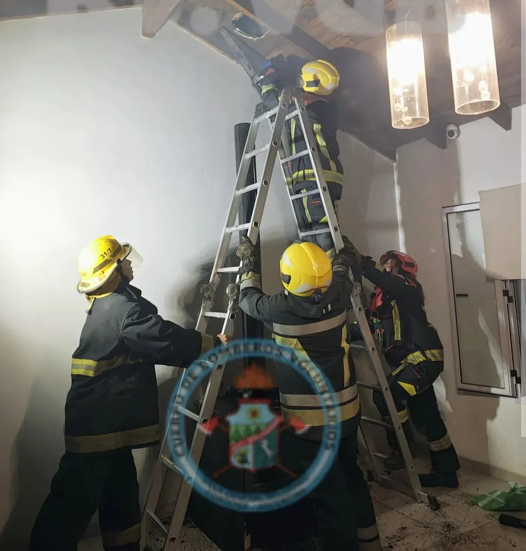 WhatsApp Image 2026-05-10 at 22.04.17bbomeros belgrano2