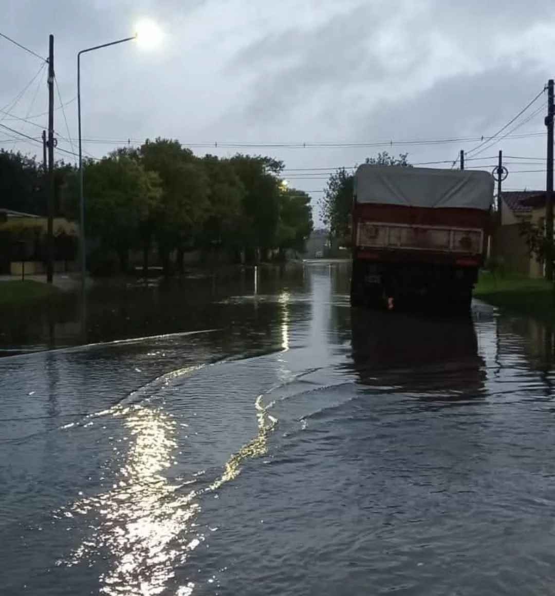 WhatsApp Image 2026-03-28 at 10.58.02lluvia2