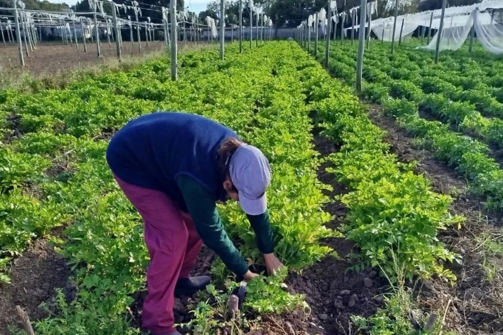 WhatsApp Image 2026-04-05 at 23.55.58hiuerta22