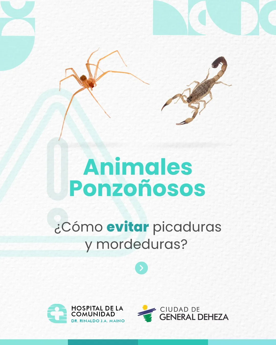 WhatsApp Image 2026-01-28 at 20.05.15PICASDURAS1