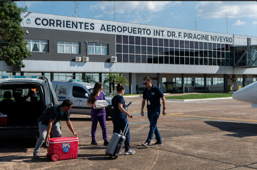 WhatsApp Image 2026-04-02 at 21.50.45organo1