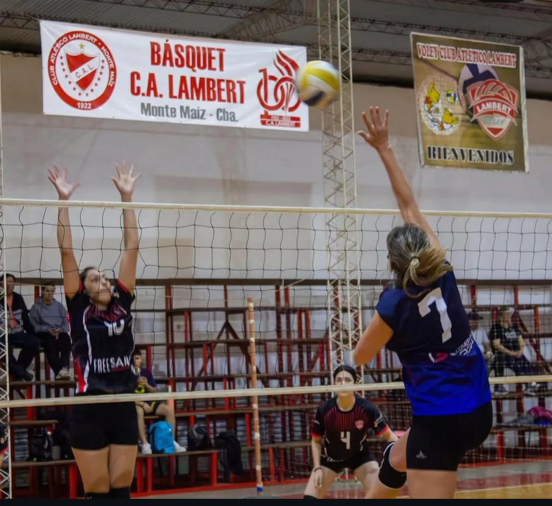 voley4