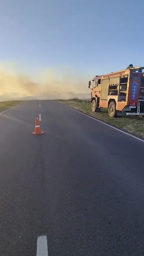 incendio arañado1