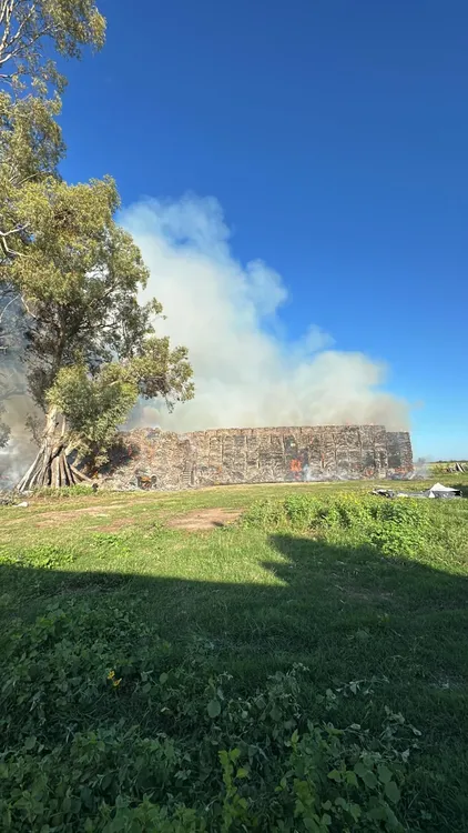 WhatsApp Image 2026-03-12 at 09.10.53indencio4848