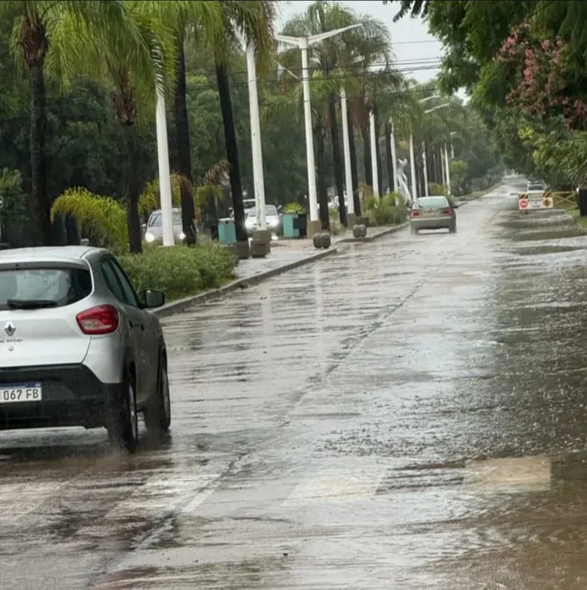 WhatsApp Image 2026-03-15 at 20.55.09dehza agua4