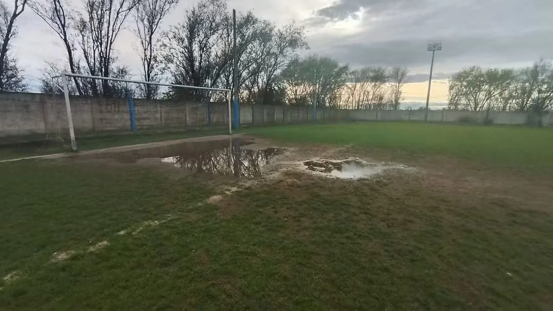 826864d7-e8ec-4822-8ef6-7d958e169398cancha2