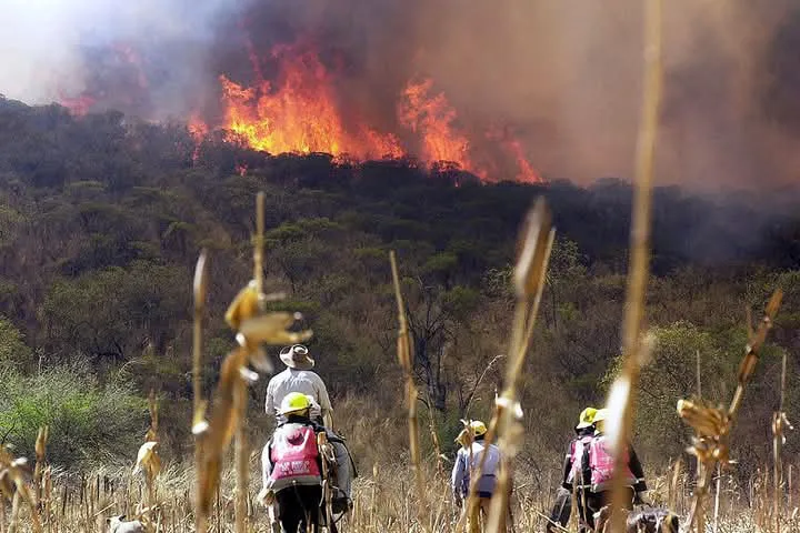 incendios forestales