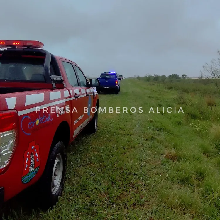 bbomweros alicia7979