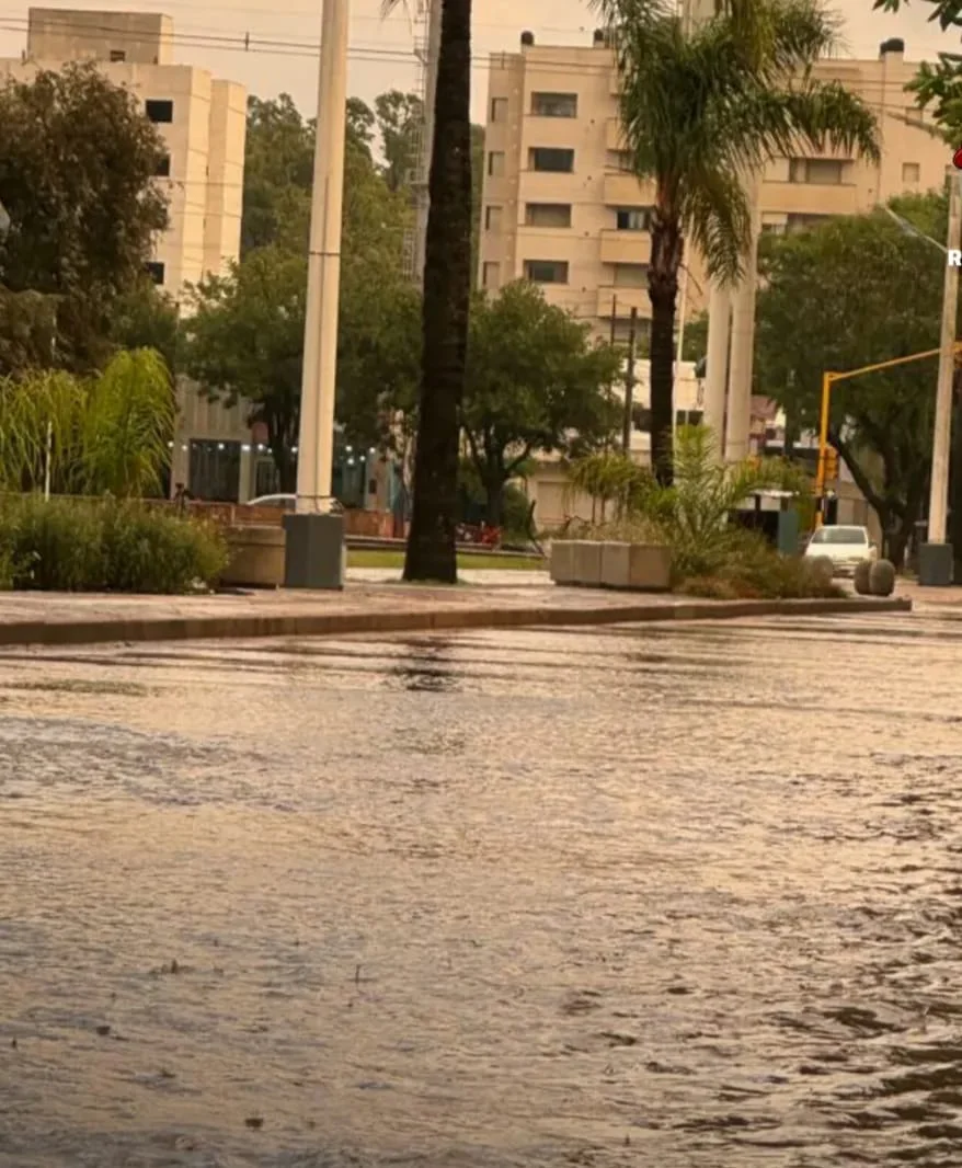 WhatsApp Image 2026-03-15 at 20.55.10dheza agua5